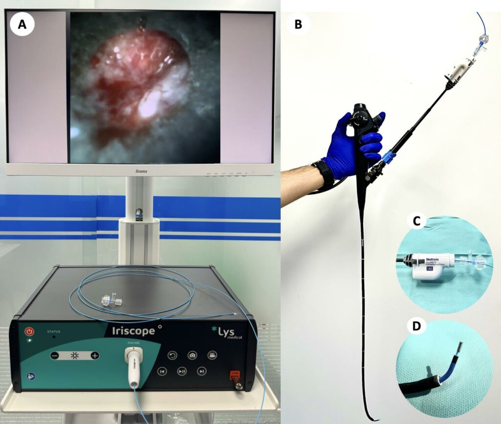 Recalde-Zamacona et al. figure 1